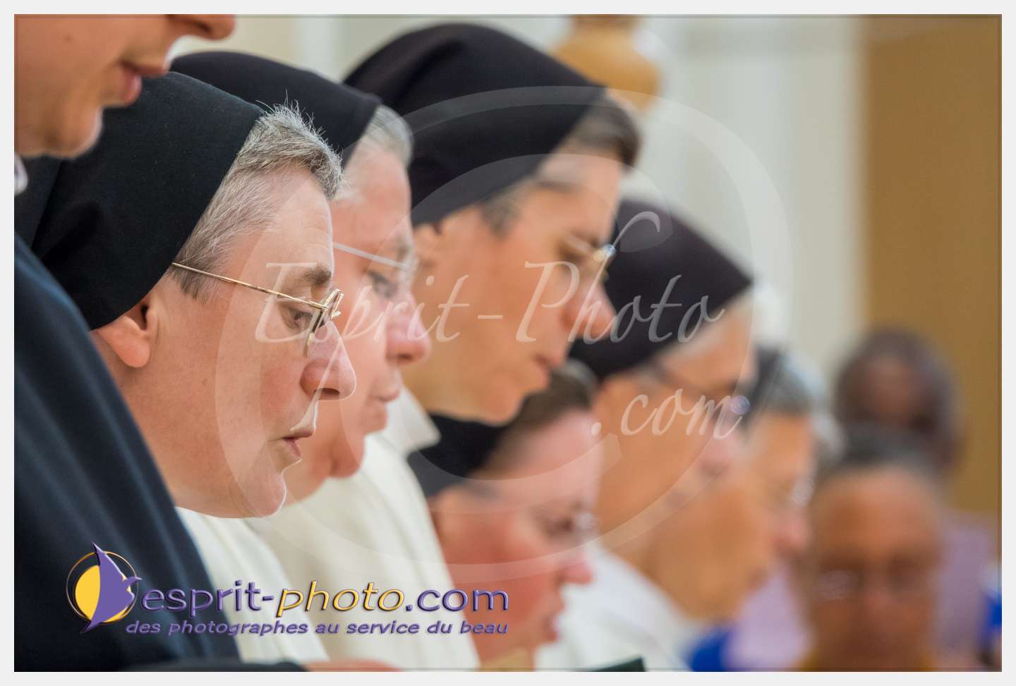 Nom de l'image : 115_S1086817_c_PhotoGraphiePro — Description :  S1086817