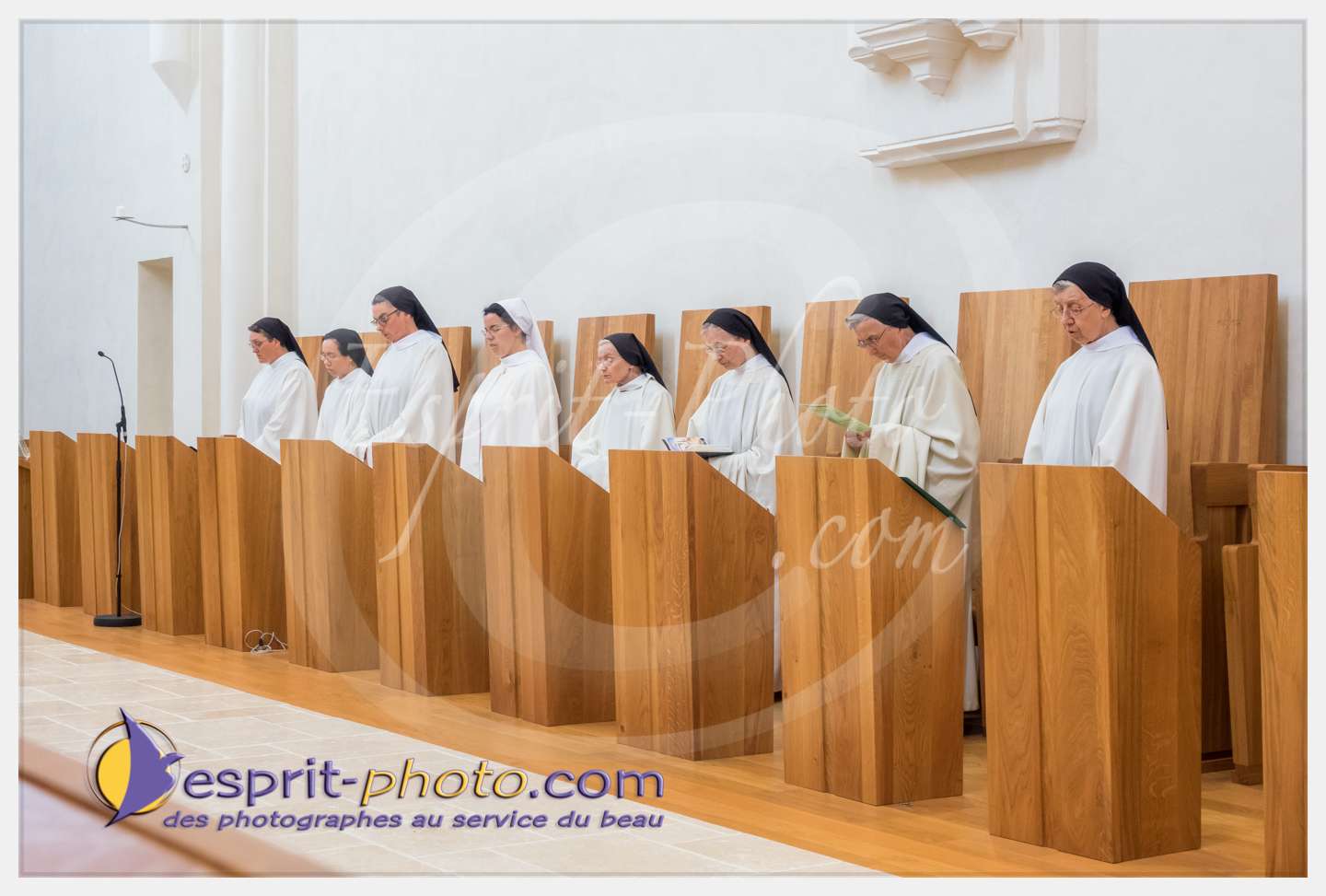 Nom de l'image : 116_S1086824_c_PhotoGraphiePro — Description :  S1086824