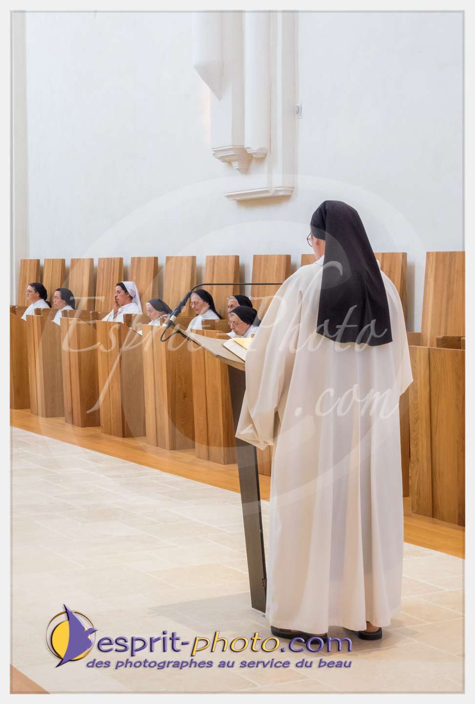 Nom de l'image : 118_S1086828_c_PhotoGraphiePro — Description :  S1086828