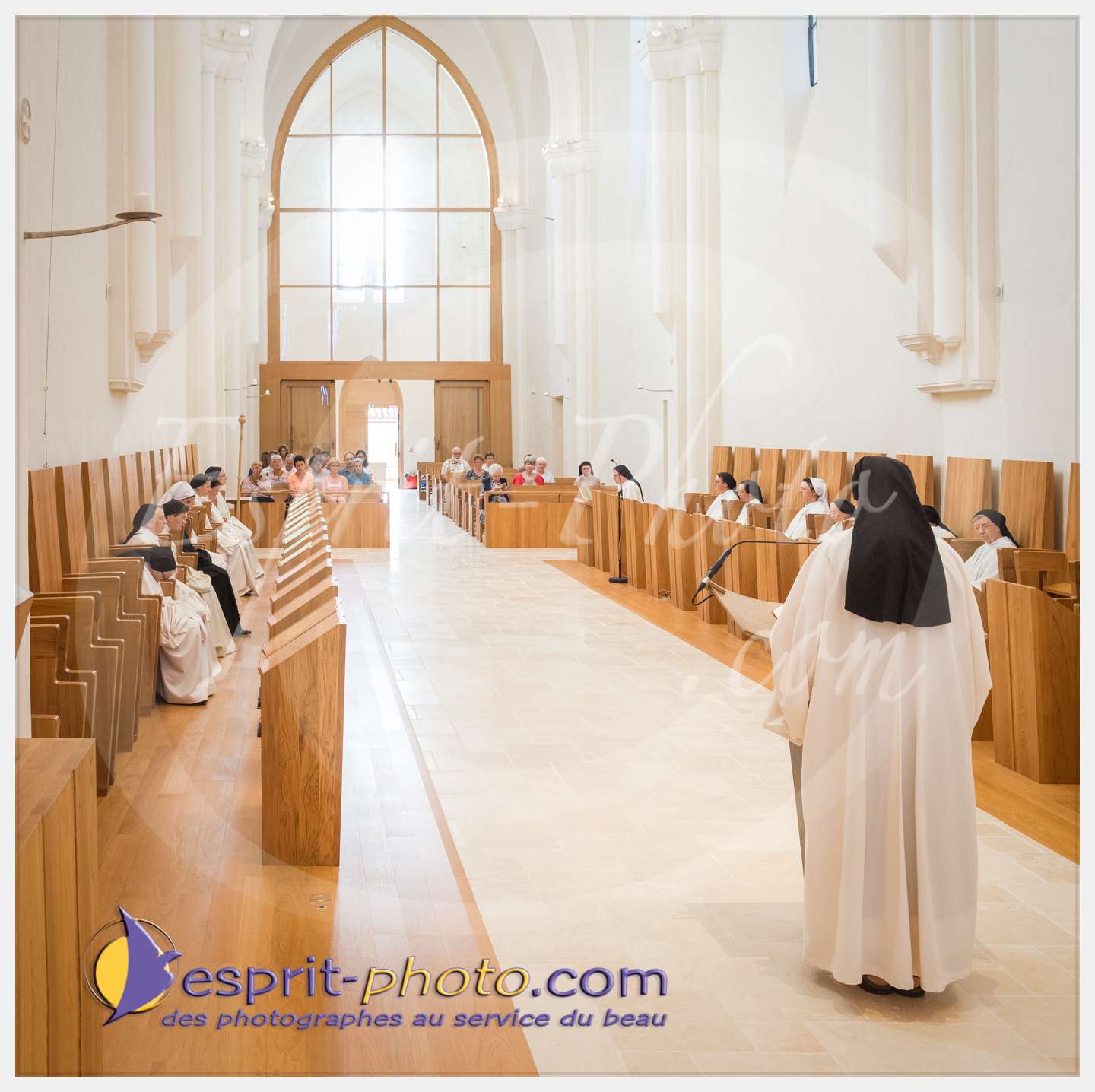 Nom de l'image : 119_D8e140734-2_c_PhotoGraphiePro — Description :  D8e140734