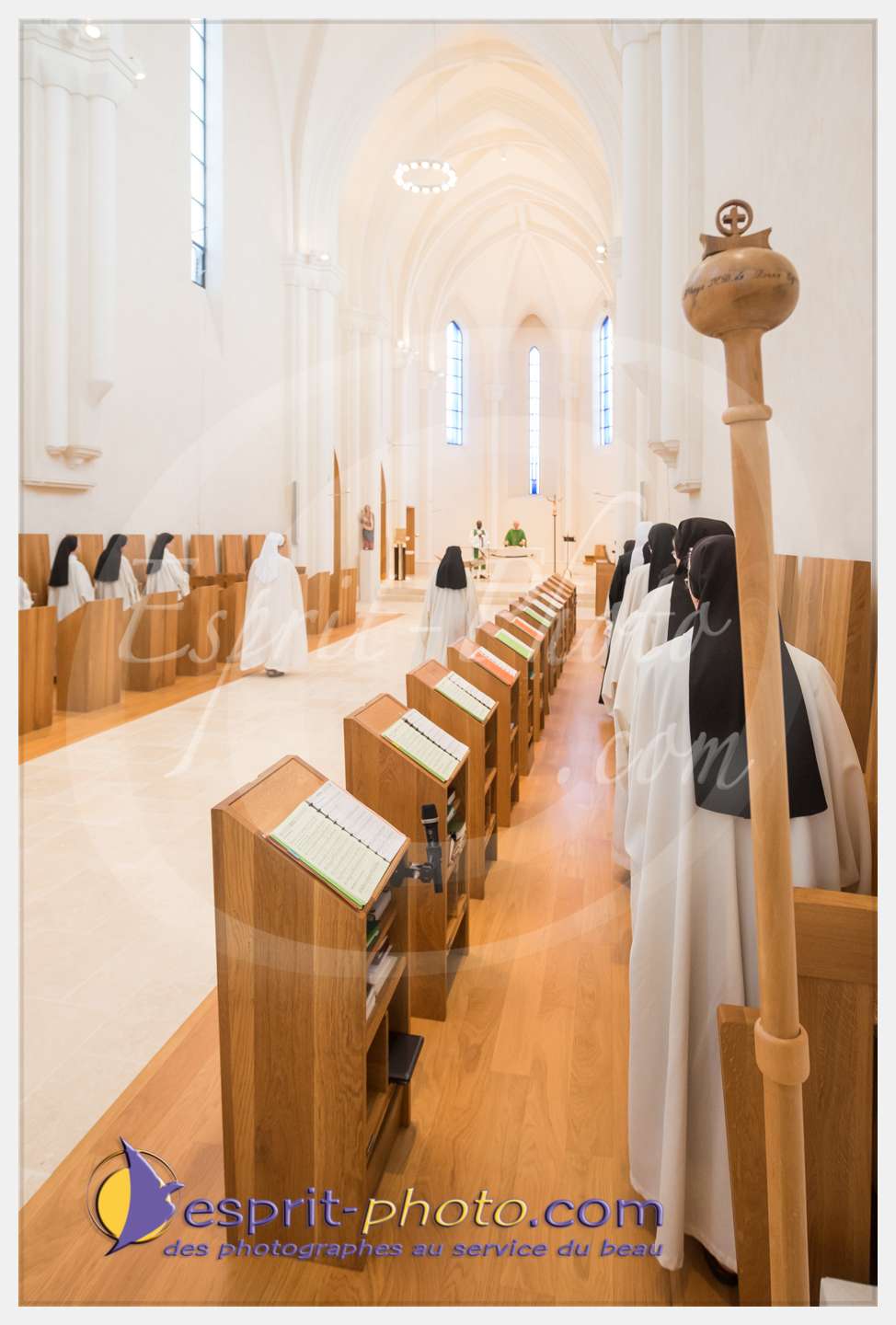 Nom de l'image : 135_D8e140766_c_PhotoGraphiePro — Description :  D8e140766