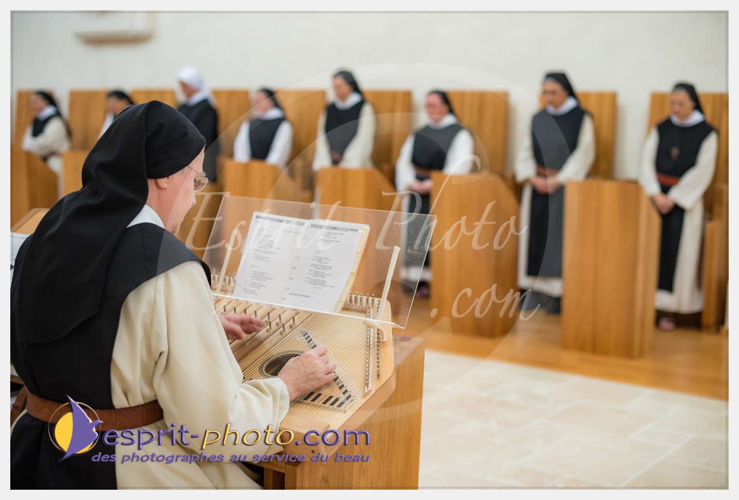 Nom de l'image : 209_D8e141302_c_PhotoGraphiePro — Description :  D8e141302