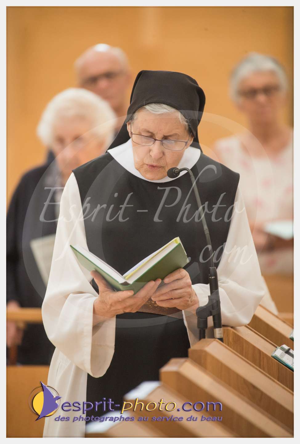 Nom de l'image : 212_D8e141312_c_PhotoGraphiePro — Description :  D8e141312