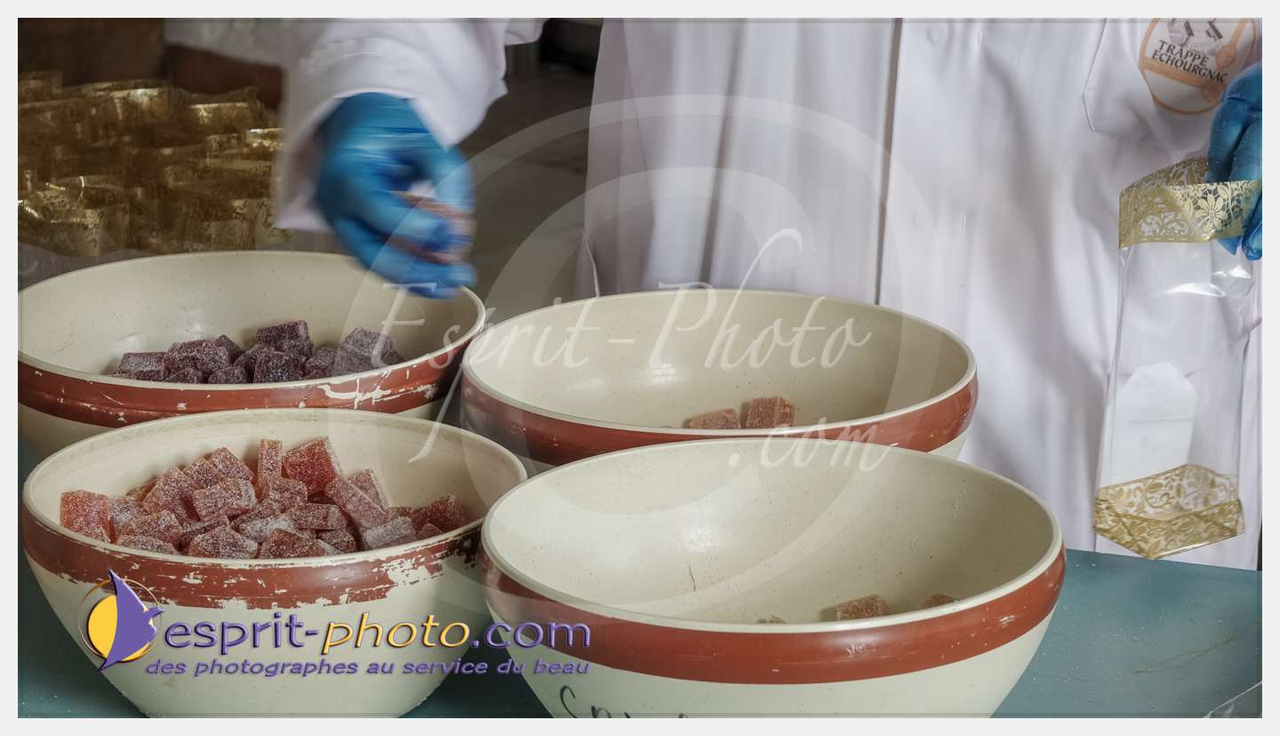 Nom de l'image : 239_S1087207_c_PhotoGraphiePro — Description :  S1087207