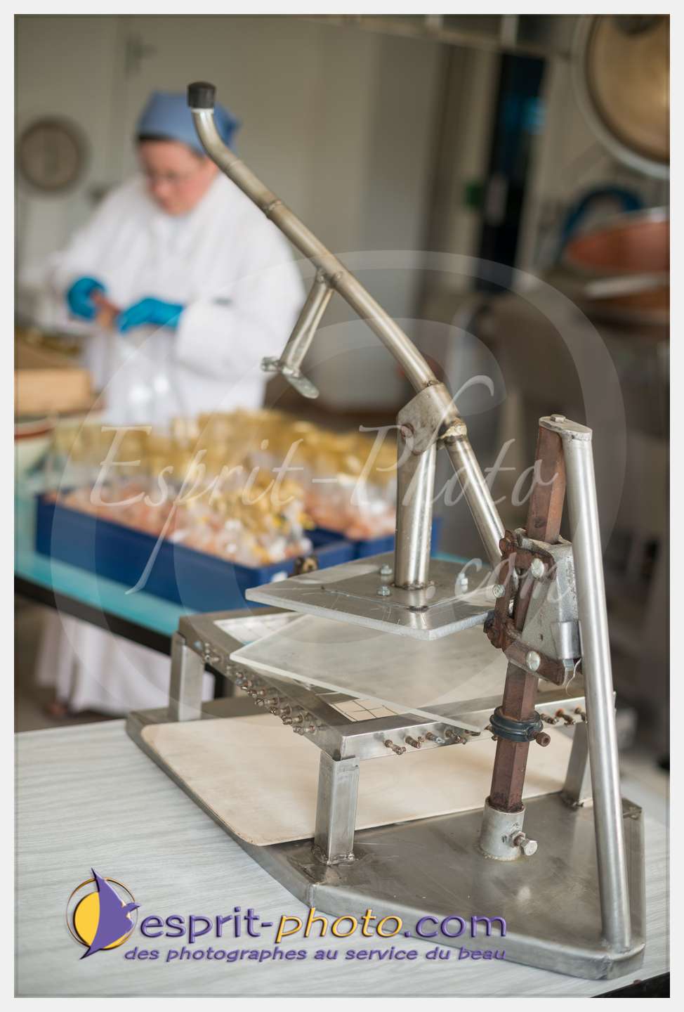 Nom de l'image : 243_D8e141509_c_PhotoGraphiePro — Description :  D8e141509