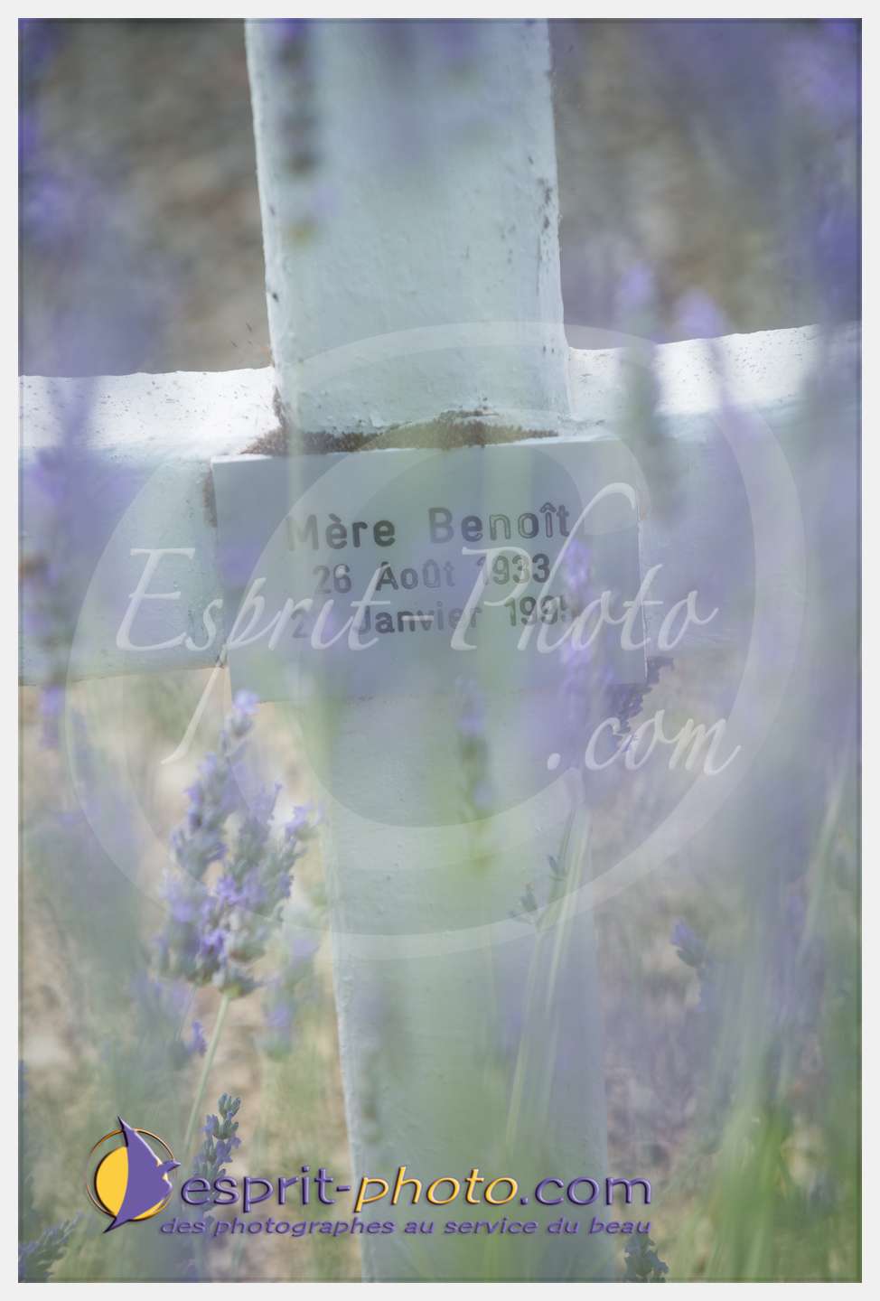 Nom de l'image : 265_D8e141629_c_PhotoGraphiePro — Description :  D8e141629