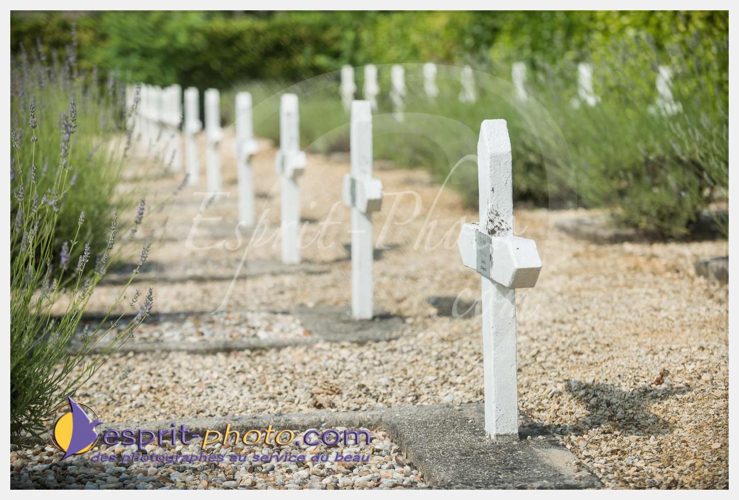 Nom de l'image : 266_D8e141633_c_PhotoGraphiePro — Description :  D8e141633