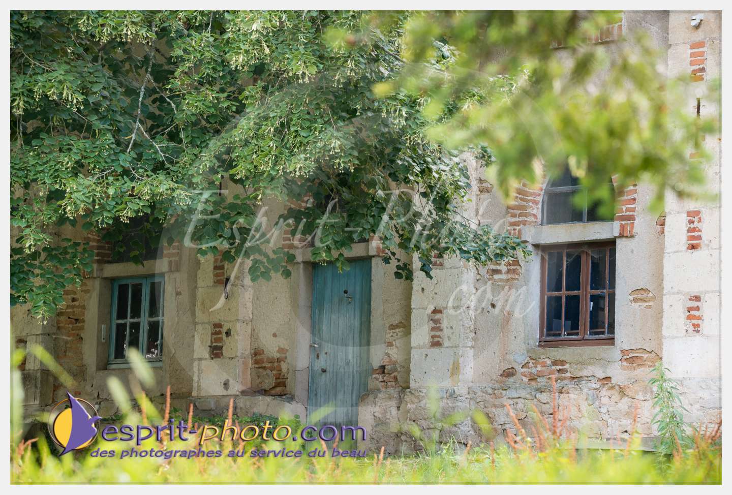 Nom de l'image : 270_D8e141662_c_PhotoGraphiePro — Description :  D8e141662