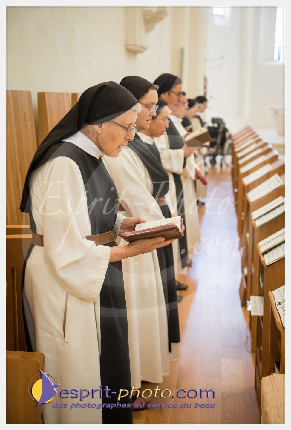 Nom de l'image : 275_D8e141697_c_PhotoGraphiePro — Description :  D8e141697