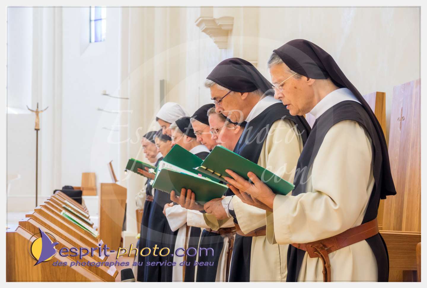 Nom de l'image : 277_S1087269_c_PhotoGraphiePro — Description :  S1087269