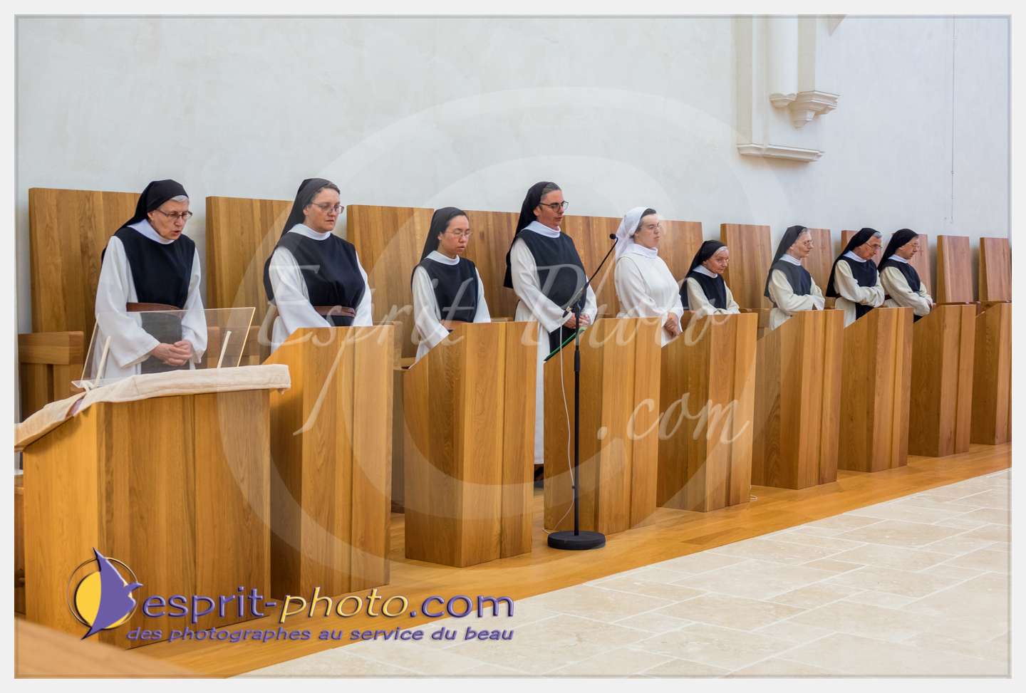 Nom de l'image : 281_S1087316_c_PhotoGraphiePro — Description :  S1087316