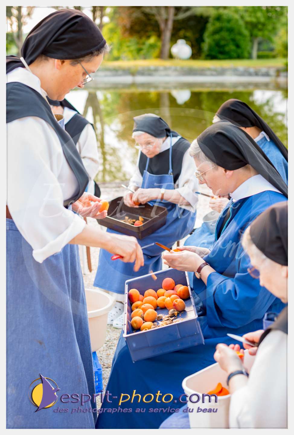 Nom de l'image : 303_D8e141805_c_PhotoGraphiePro — Description :  D8e141805