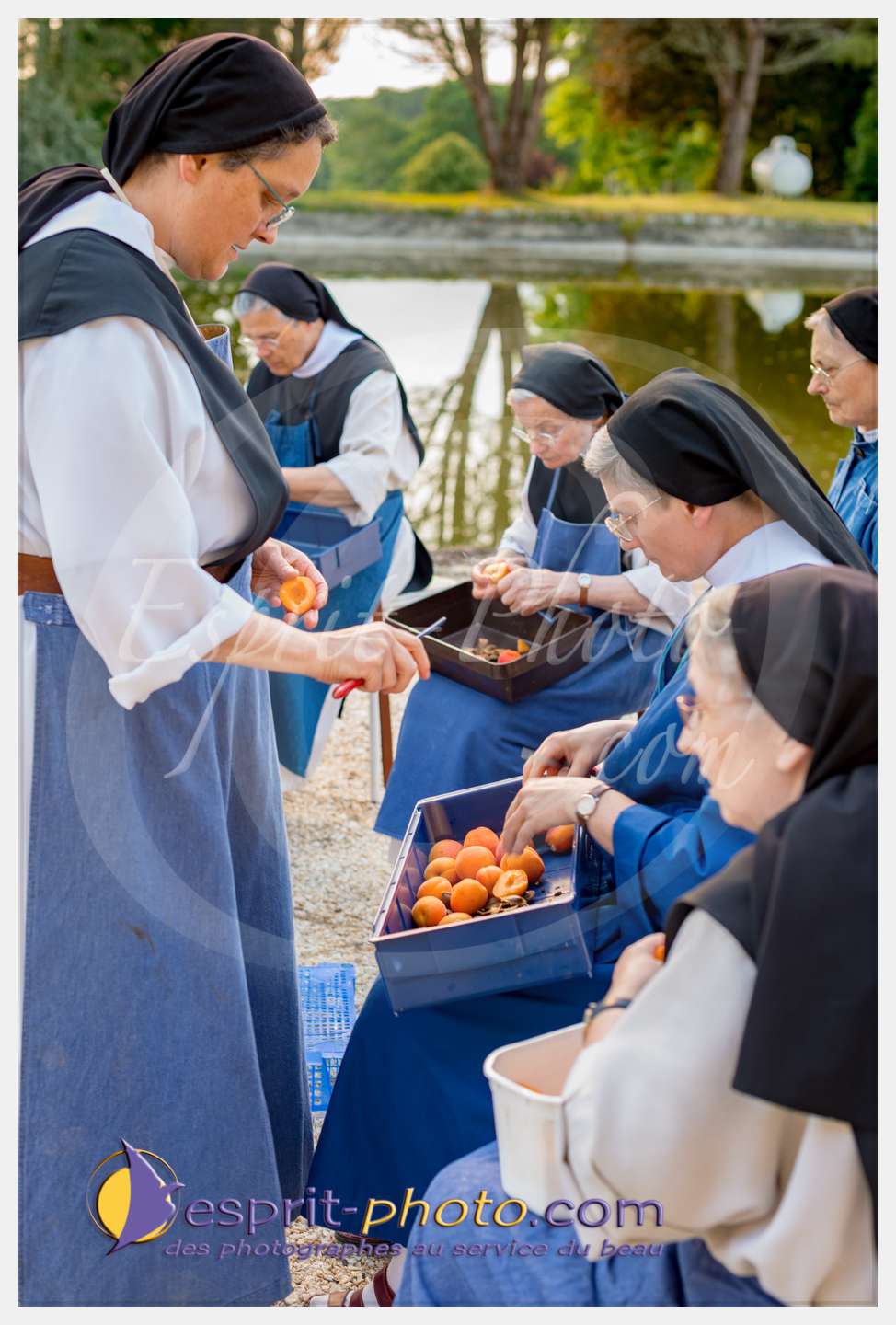 Nom de l'image : 304_D8e141808_c_PhotoGraphiePro — Description :  D8e141808