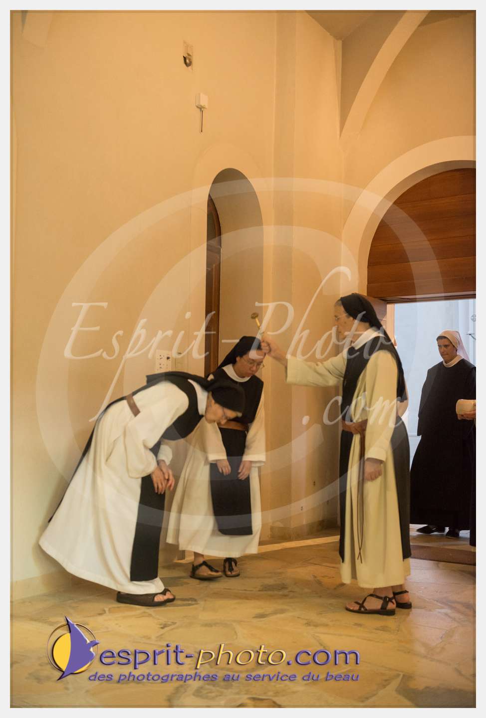 Nom de l'image : 309_D8e141847_c_PhotoGraphiePro — Description :  D8e141847