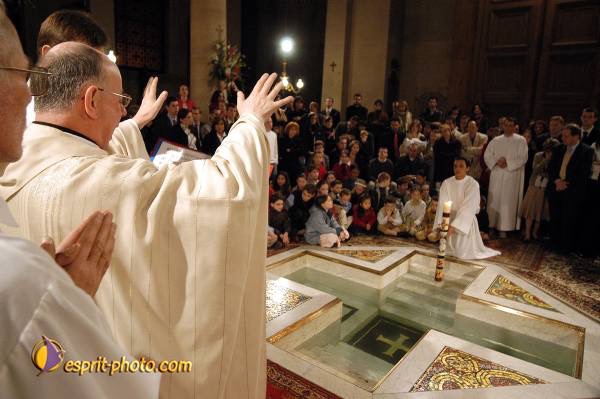 Nom de l'image : D1123740-01 — Description :