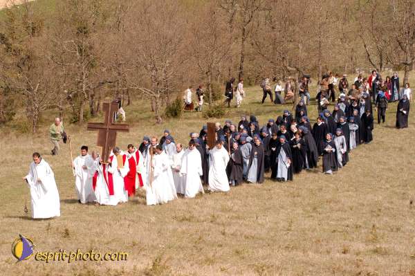 Nom de l'image : D1025386-01 — Description :