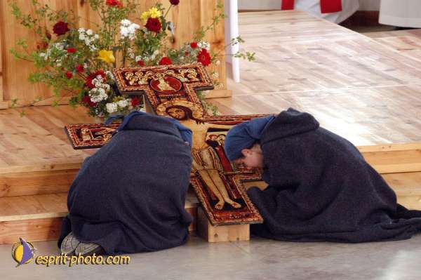 Nom de l'image : D1025830-01 — Description :