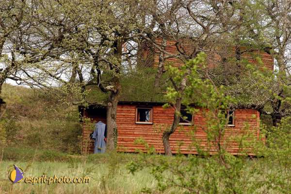 Nom de l'image : D1027573-01 — Description :