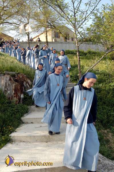 Nom de l'image : D1027906-01 — Description :