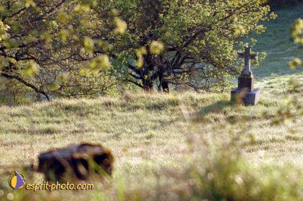 Nom de l'image : D1028078-01 — Description :