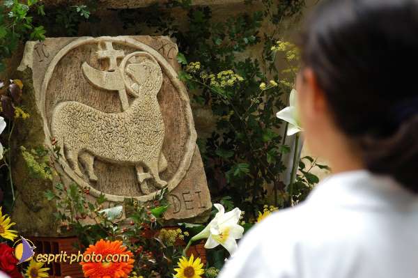 Nom de l'image : D1165961-1 — Description :  Communauté de l'Agneau - Plavilla