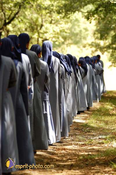 Nom de l'image : D1166133-1 — Description :  Communauté de l'Agneau - Plavilla