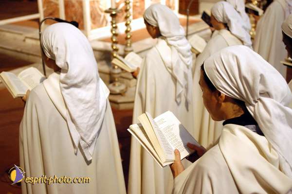 Nom de l'image : D1086245-01 — Description :