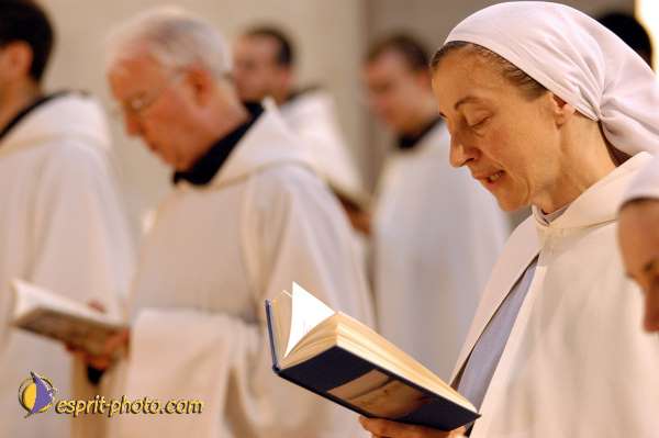 Nom de l'image : D1086266-01 — Description :