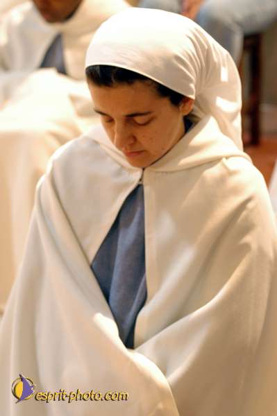 Nom de l'image : D1086276-01 — Description :