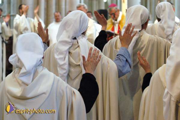 Nom de l'image : EG04005675-01 — Description :