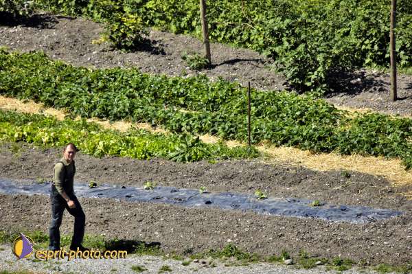 Nom de l'image : D2010475-1 — Description :