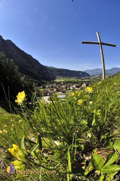 Nom de l'image : D2010498-1 — Description :