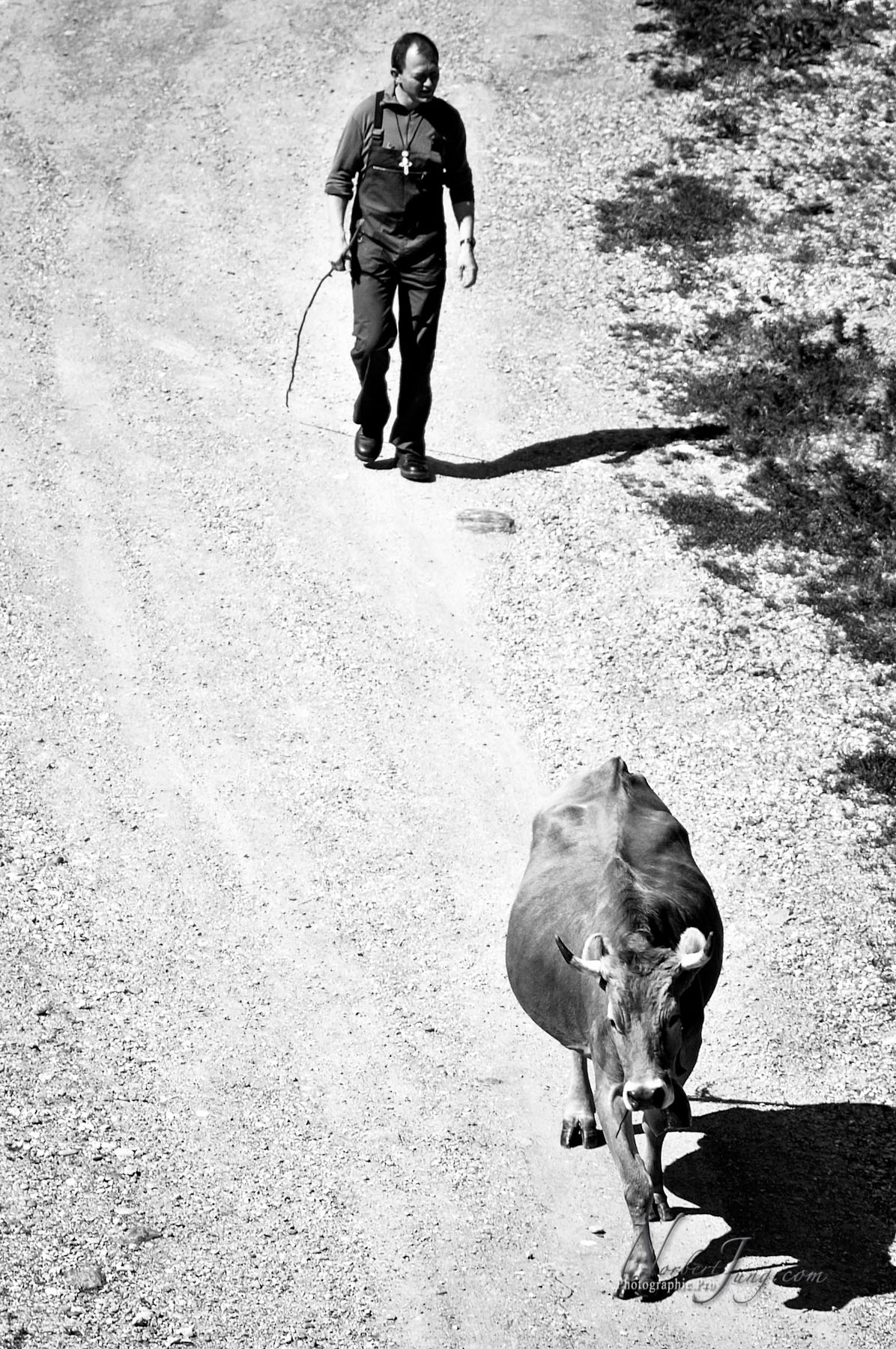 Nom de l'image : D2010504-1_(c)Norbert-Jung.com — Description :