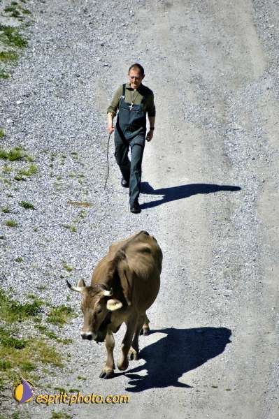 Nom de l'image : D2010506-1 — Description :