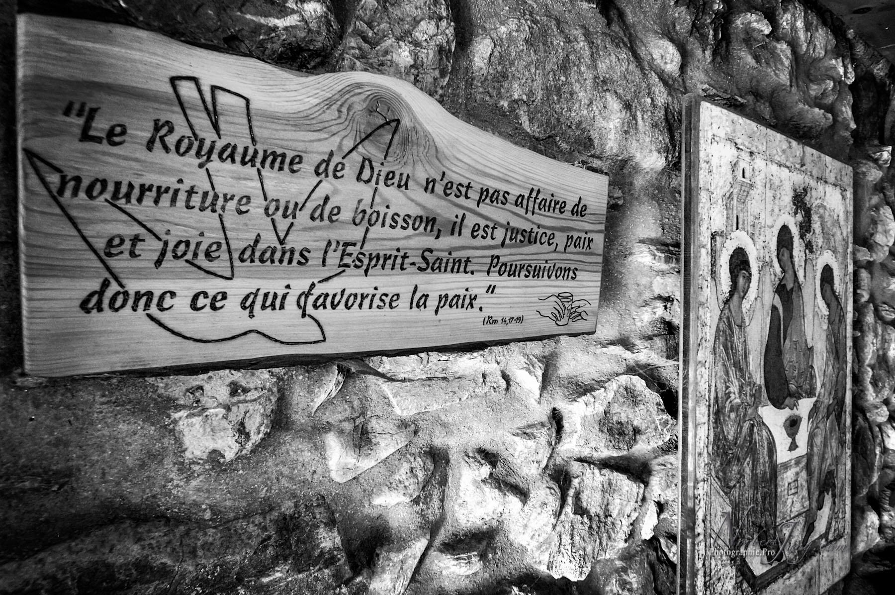 Nom de l'image : D2010679-1_(c)Norbert-Jung.com — Description :