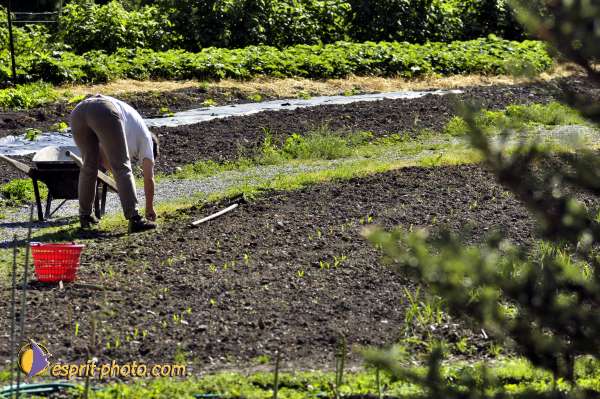 Nom de l'image : D2010737-1 — Description :