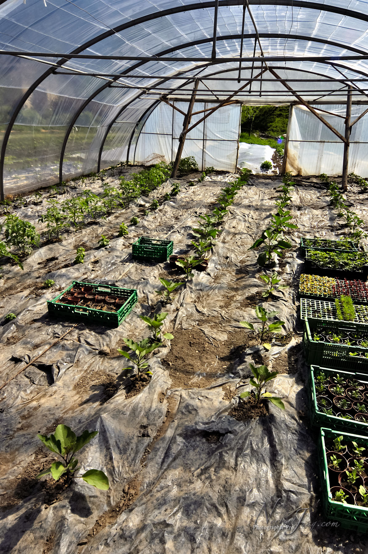 Nom de l'image : D2010768-1_(c)Norbert-Jung.com — Description :