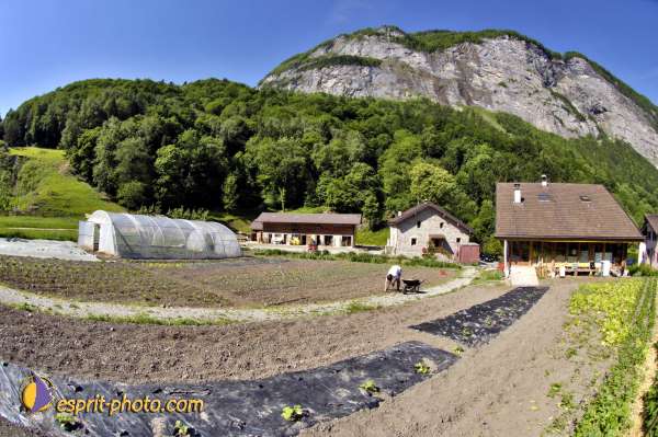 Nom de l'image : D2010777-1 — Description :