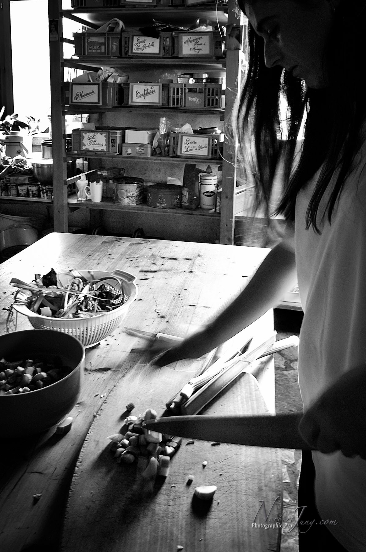 Nom de l'image : D2011437-1_(c)Norbert-Jung.com — Description :