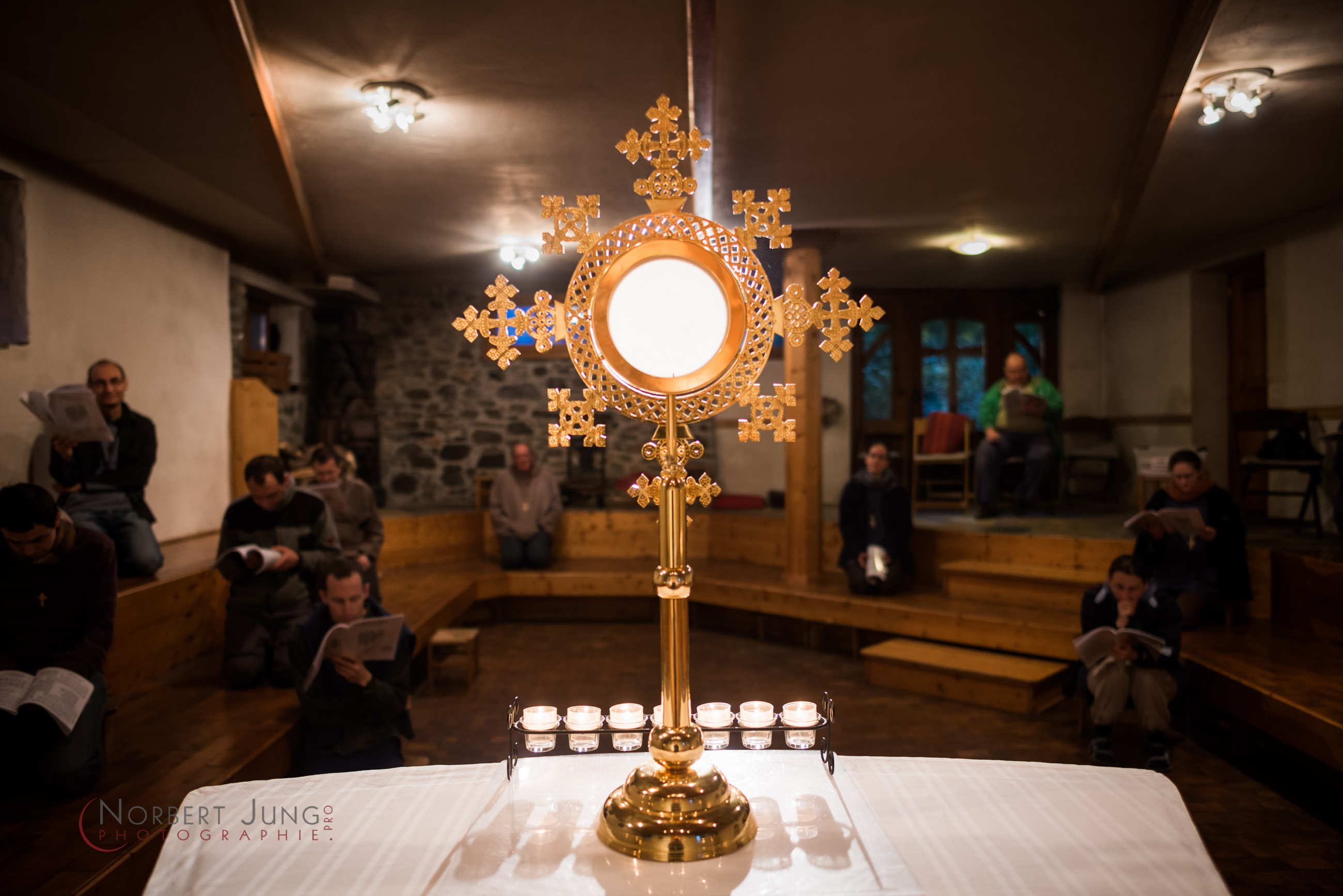 Nom de l'image : D8e018924_(c)Norbert-JUNG.com — Description :