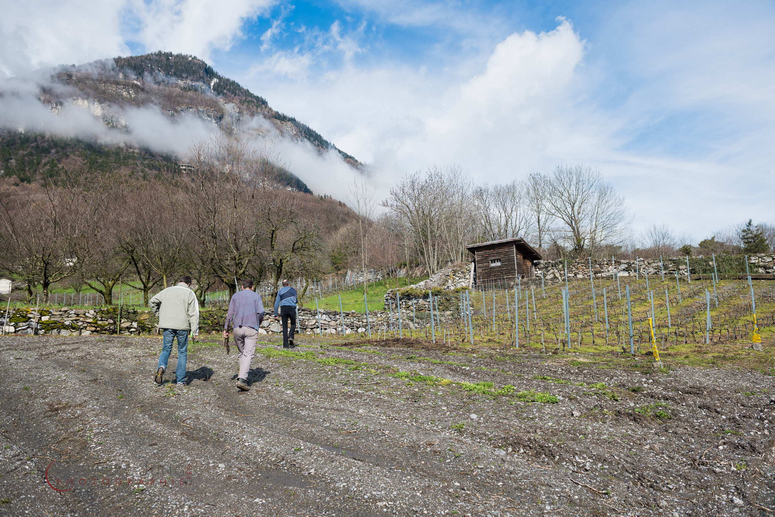 Nom de l'image : D8e019101_(c)Norbert-JUNG.com — Description :