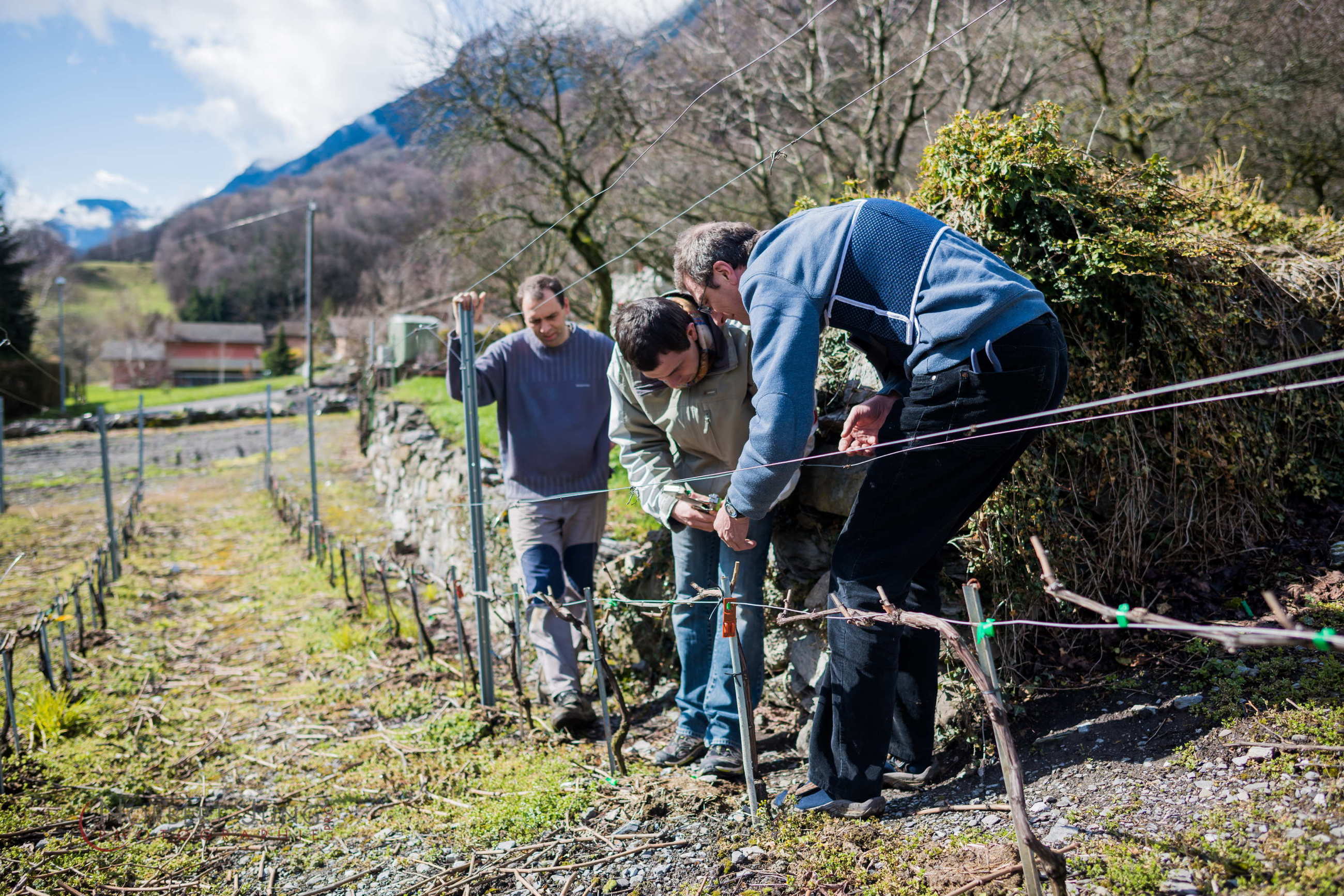 Nom de l'image : D8e019176_(c)Norbert-JUNG.com — Description :