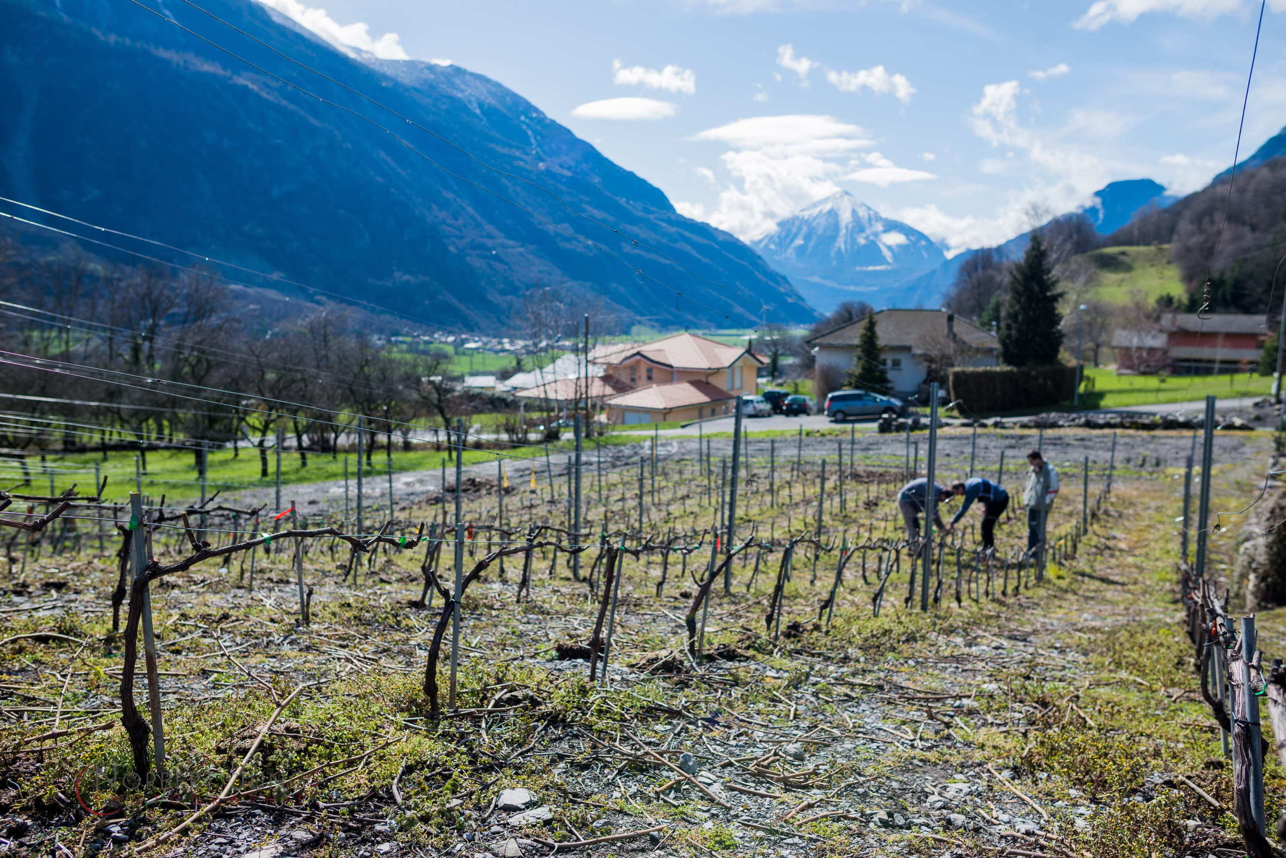 Nom de l'image : D8e019233_(c)Norbert-JUNG.com — Description :