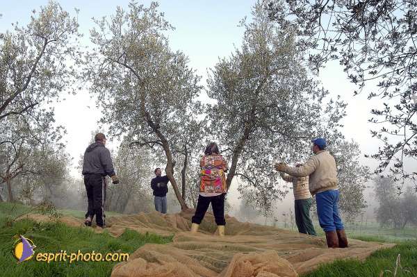 Nom de l'image : D1086935-01 — Description :