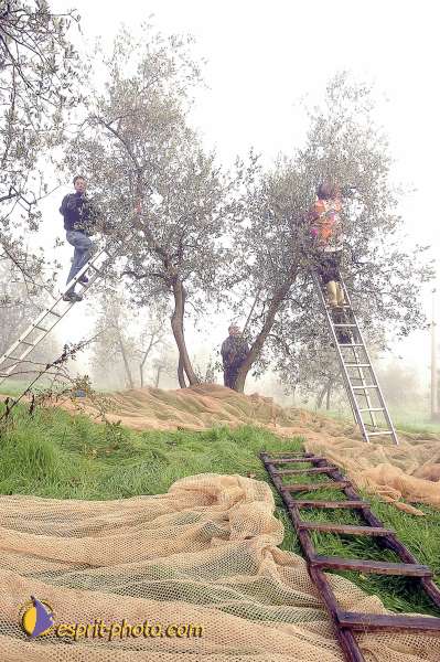 Nom de l'image : D1087037-01 — Description :