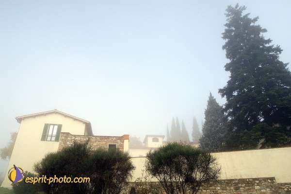 Nom de l'image : D1087135-nef-01 — Description :