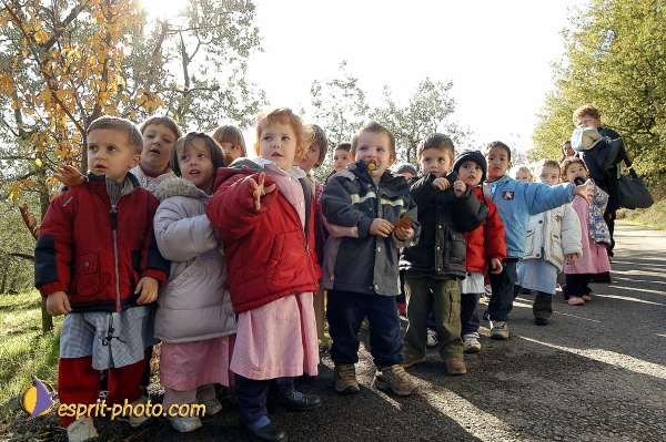 Nom de l'image : D1087225-01 — Description :