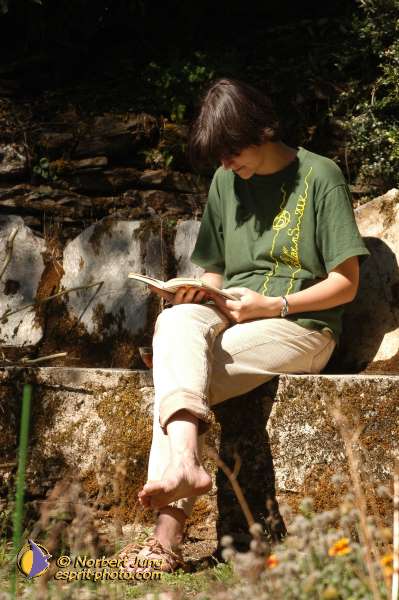 Nom de l'image : D1071078 — Description :