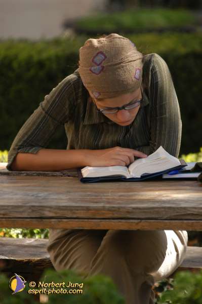 Nom de l'image : D1071085 — Description :