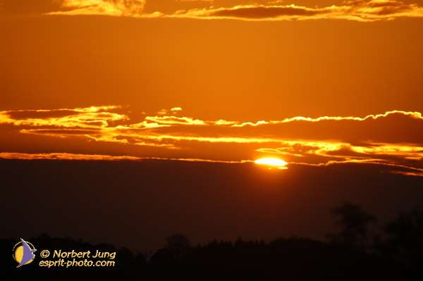 Nom de l'image : D1071299 — Description :